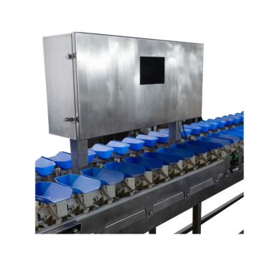 China Good productivity and high quality type target electronic weighing machine combination weigher platform scale for sale