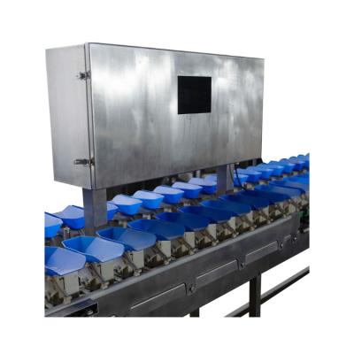 China Good Productivity And High Quality Automatic Waterproof Chicken Duck And Fish Food Sus 304 6-Head Classification Scale Weigh Sorter for sale