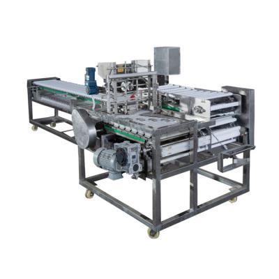 China Good Productivity and High Quality Meatball Automatic Round Fish Meatball Forming Machine for sale