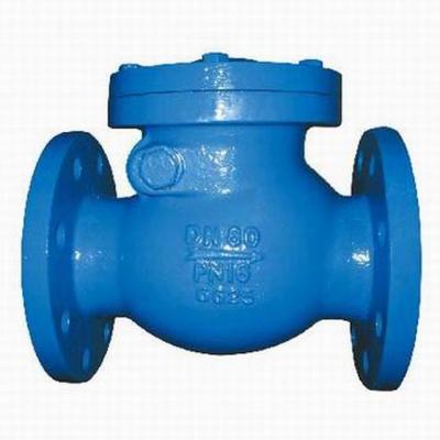 China General DIN Flanged Swing Check Valve for sale