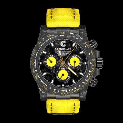 China CRONUSART Supercar waterproof elements design Sapphire Mechanical Watch Carbon Fiber premium double-sided watch case for sale