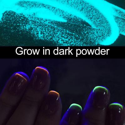 China Popular color nails glitters colors nails salon professional dipping glow in dark dip powder for sale