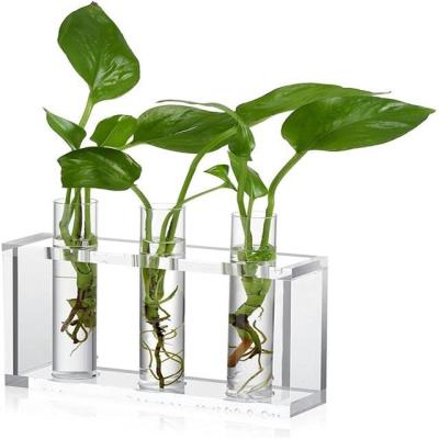 China Drop-proof packaging Test Tube Flower Bud Vase Glass Planter Plant Terrarium Flower Bud Vase in Acrylic Crystal Stand Rack Tabletop for Hydroponic Pl for sale