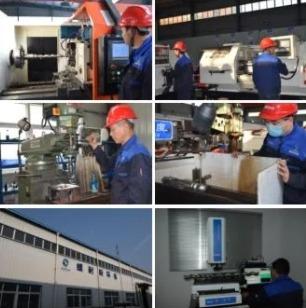 Verified China supplier - Wuhan Ronice Pump Device Co., Ltd.