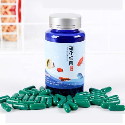 China Viable Aquarium Live Nitrifying Bacteria Dry Powder Goldfish Tank Water Purification Digestion Bacteria Capsules for sale