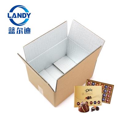 China 12x9x6 Frozen Food Disposable Foam Insulated Inner Shipping Carton Insulated Panels for sale