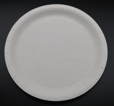 China Disposable Best Selling Biodegradable Disposable Wooden Dishes 10 Inch Paper Plates for sale