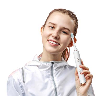 China Hotel Design New Metallic Shell Magnetic Levitation Motor Adult 360 Smart Electric Toothbrush for sale