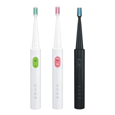 China Hot Sale Manufacturer New Professional USB Battery Powered Charging Portable Sonic Electric Toothbrush For Household for sale