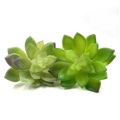 China Durable DIY Mini Real Touch Artificial Succulent Plant Green Unpotted Succulents Flower Picks Bulk Stems For Office Decor for sale