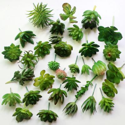 China Various Durable Wholesale Plastic Fake Plants DIY Mini Plant Artificial Succulent For Home Decoration for sale