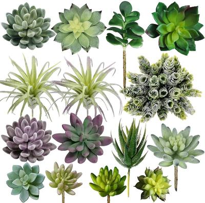 China Unpotted Artificial Succulents Plants Mini Realistic Plants Fake Succulents DIY Home Durable Landscape Decorations for sale