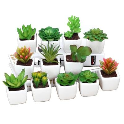 China QSLHH-569 Durable Wholesale Artificial Potted Layout Succulent Plants For Decoration for sale