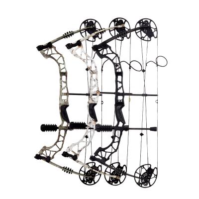 China Compound Bow Hot Selling Fiberglass Limb Archery TIR Outdoor Hunting Shooting Compound Bow for sale