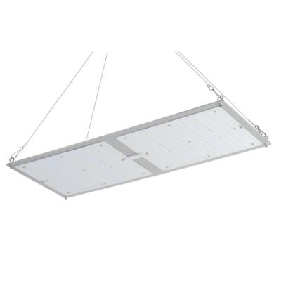 China Enough Waterproof Heat Disspation Rectangle Design 2X4 200w Quantum Led To Grow Light for sale