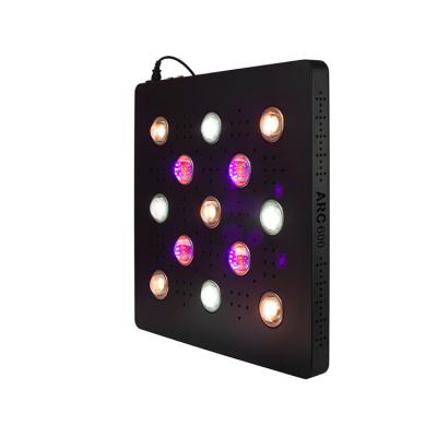 China Route 1: red+white + UV+IR Dimming Full Spectrum Cultivo Cultivo Hot Selling Custom Plant Led Cob Grow Light for sale