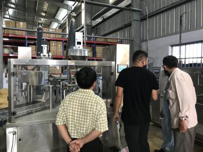 China Chemical YFG8-200 Stable Working Automatic Pouch Bag Packing Pre-Made Bag Filling Machine for sale