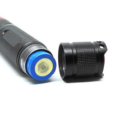 China Custom Logo 3W 5W 365nm UV Flash Torch Scorpion Detector Waterproof Emergency Flashlight With Rechargeable Battery USB Cable for sale