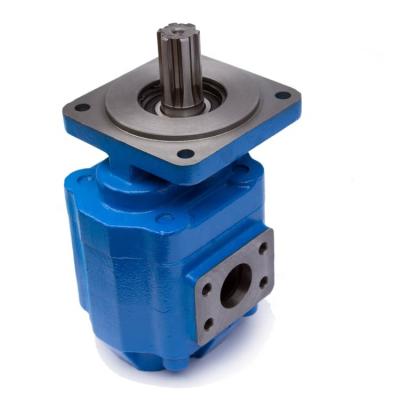 China Commercial Buildings JHP 2100 Plate Forklift Hydraulic Part Stainless Push Hydraulic Gear Pump For Loader for sale