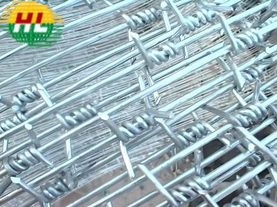 China Multifunctional 12 14 16 Gauge Galvanized Barbed Wire for sale