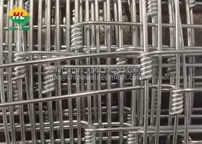 China los 50m galvanizaron a Mesh Roll 13 resistencia a la corrosión de alta resistencia 125 15 en venta