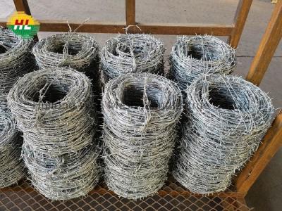 China galvanisierte traditionelle Torsion 13x14 Rasiermesser-Stacheldraht mit langer Nutzungsdauer zu verkaufen