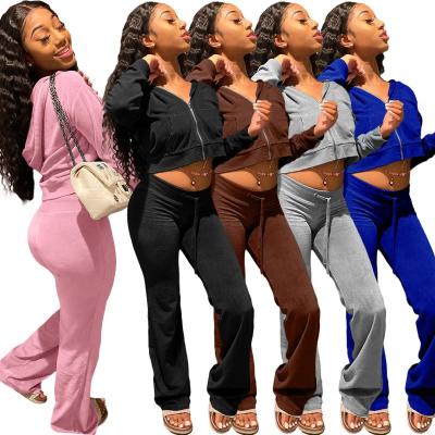 China Women's Casual Two-Piece Sweatsuit Sweatsuit Women's XS-2XL Zipper Velor Hoodie Velor Breathable Velor Tracksuits 2 Piece Set for sale