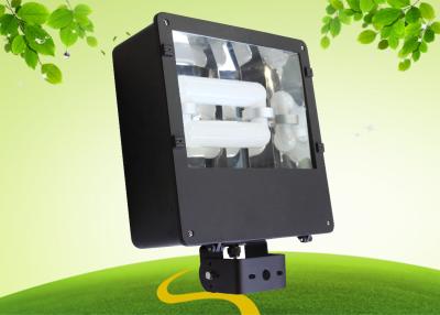 China 80 Watt High Efficiency Induction Flood Light Ra90 2700 - 6500K For Outdoor for sale