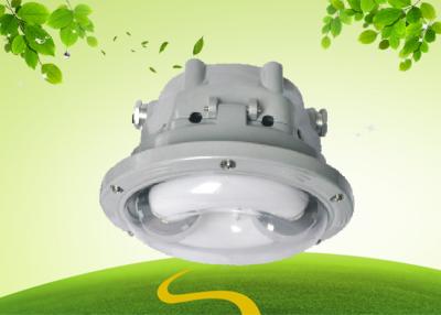 China High Brightness 40W Explosion Proof Gas Station Canopy Lights Warm White for sale