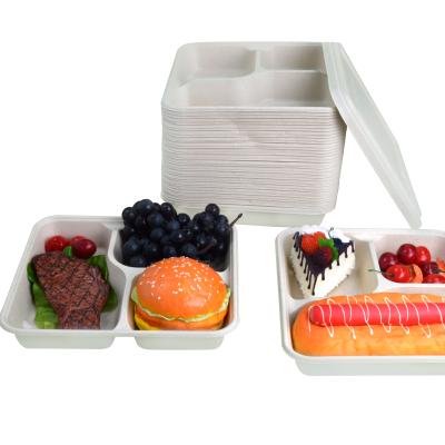 China 3 Compartment Disposable Microwavable Food Container Sugar Cane Bagasse Pulp Take Out Food Container for sale