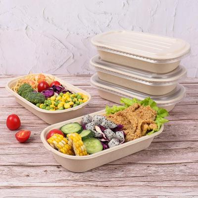 China Household Products 2021 Wholesale Biodegradable 2 Compartment Disposable Sugar Cane Pulp Fast Food Container With Lid for sale