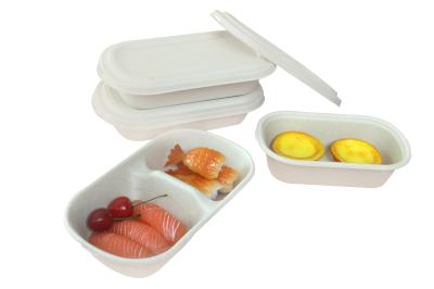 China Customized packaging 100% biodegradable biodegradable to go lunch box sugarcane bagasse takeaway food lunch box for sale