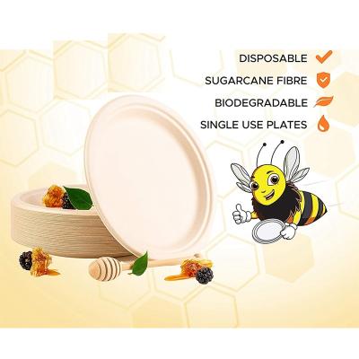 China 2021Eco-Friendly 100% Biodegradable Sugar Cane Pulp Round Paper Plate for sale