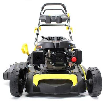 China 4-Stroke 5in1 6 HP 4.4 KW 196cc Petrol Engine Premium Lawn Mower with Grass Catcher 62L 53 cm Cutting Width, GT BRAND for sale