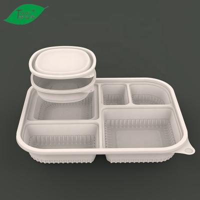 China Customized Logo Corn Sourcing 5 Divisions Biodegradable Food Container Food Container With Lid for sale