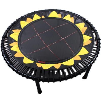 China Without Net Exercise Gym Equipment Fitness Protector Mini Trampoline Indoor Gymnastics For Sale for sale