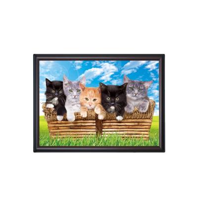 China Europe 40x60cm 5D Lenticular Image Poster With Lovely Cats Image for sale