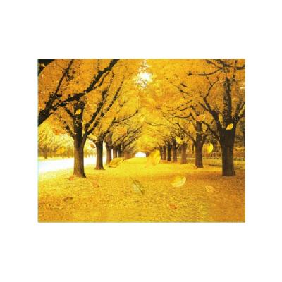 China Large Size Europe 3d 5d Lenticular Moving Image Landscape 3d Picture Lenticular Picture For Home Decoration for sale