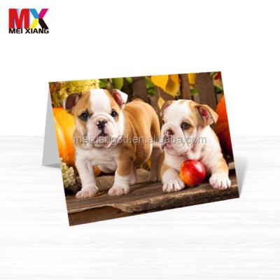 China New World Design 3d Lenticular Greeting Card For Gift for sale