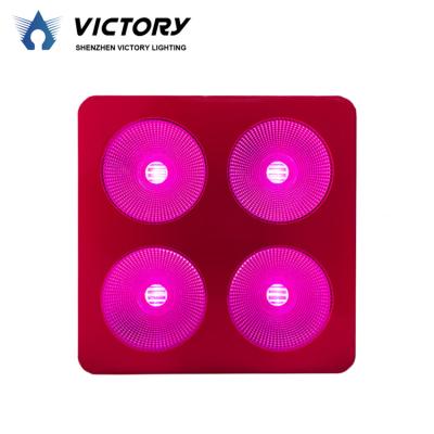 China Seed Starting Competitive Price IP65 400W Full Spectrum Indoor Plants COB 2022 Led For Growing Light en venta