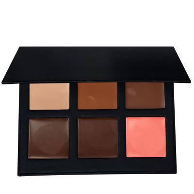 China New Design 6 Colors Moisturizer Makeup Private Label High Quality Concealer Cheap Price Eyeshadow Palette for sale