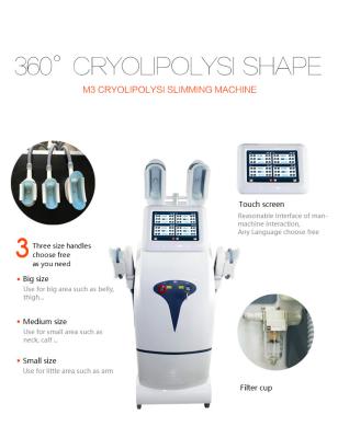 China Wünschten erstaunliche Effektverteiler des niedrigen Preises das Abnehmen Maschine cryolipolysi fetter Gefriehrmaschine zu verkaufen