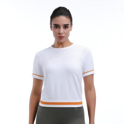 China Cropped Mesh Workout Short Sleeve Lightweight Ventilated Stylish For Yoga And Running for sale