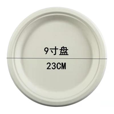 China Modern Degradable Pulp Meal Meal Dispensing Tour Fruit Dish Barbecue Dish Bagasse Disposable Tableware for sale