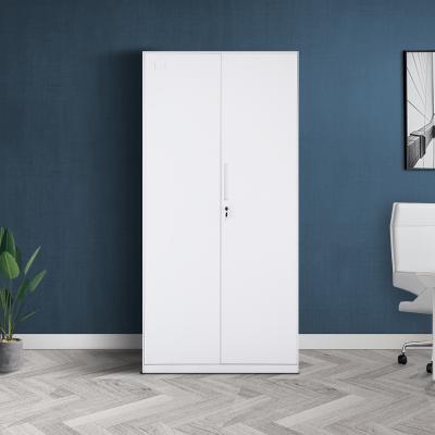 China Knock Down Hot Sale Office Furniture Cabinet Metal Manufacturers 2 Door Closet Steel Storage File Cabinet for sale