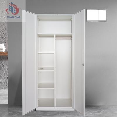 China (Others)2 Adjustable Swing Door Metal Storage Cabinet For Clothes With Almirah Designs Office Furniture Designs Multifunctional Door Wardrobe Sale for sale