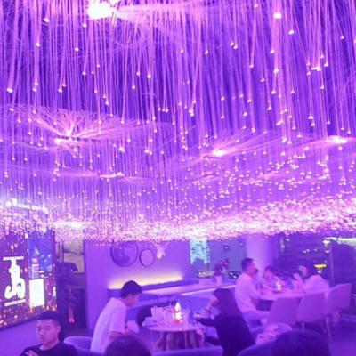 China Easily Assembled Christmas Party Game Decoration Dimmable RGB Color Changing LED Fiber Optic Light Good For Wedding Decoration for sale