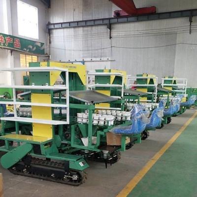 China Walking Type Agricultural Machinery 6 Row 10 Row Tobacco Seedling Transplanting Machine High Survival Rate Rhizome Medicine Seedling Machine Seedling Machine for sale