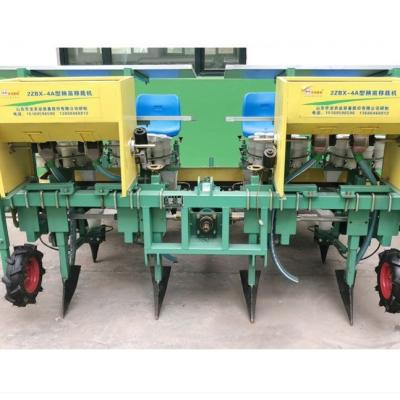 China Agricultural machinery broccoli 2 row planter transplanter vegetable garlic planting machine promotion list agriculture machinery equipment farm bund for sale