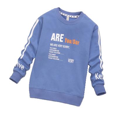 China Anti-pilling Hoodies Customs Design High Quality Sublimation Kid's Hoodies for sale